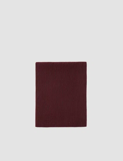 Joseph Light Cardigan Stitch Scarf In Merlot