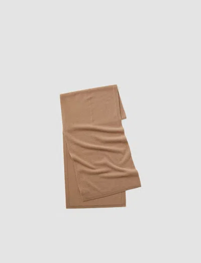 Joseph Light Pure Cashmere Scarf In Blusher