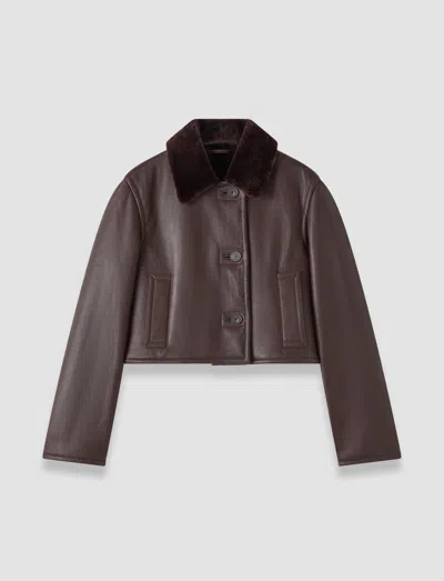 Joseph Liri Natural Shearling Jacket In Brown