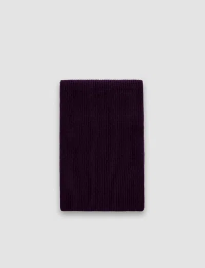 Joseph Luxe Cashmere Scarf In Aurora Purple