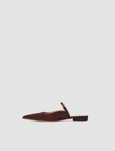 Joseph Parisa Pointed Suede Ballerinas In Burgundy