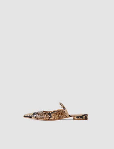 Joseph Parisa Snake Print Leather Ballerinas In Animal Print