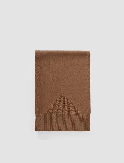Joseph Pasilla Pure Cashmere Scarf In Brown