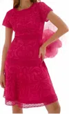 Joseph Ribkoff Embroidered Fit And Flare Dress In Geranium Dress In Pink