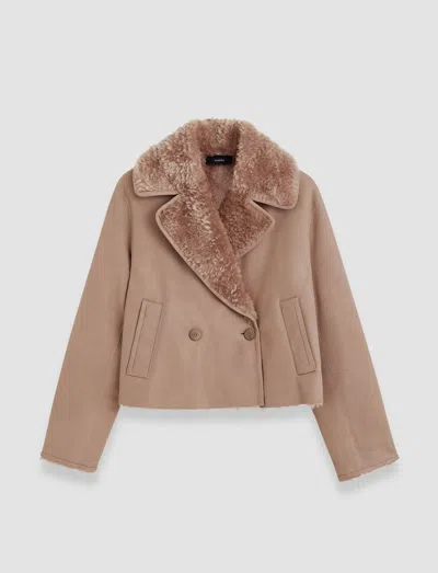 Joseph Rousse Textured Shearling Coat In Blusher