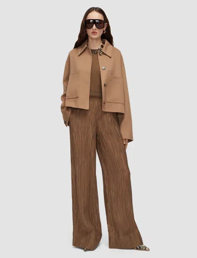 Joseph Selene Fluid Crinkle Trousers In Brown