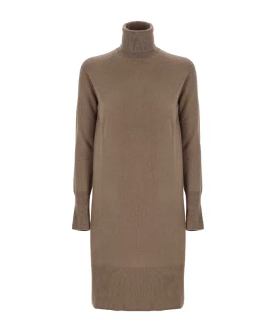 Joseph Turtleneck Knit Dress In Brown