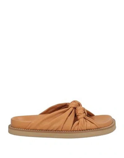 Joseph Woman Sandals Tan Size 8 Leather In Brown