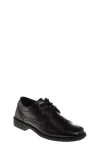Josmo Kids' Wingtip Derby In Black