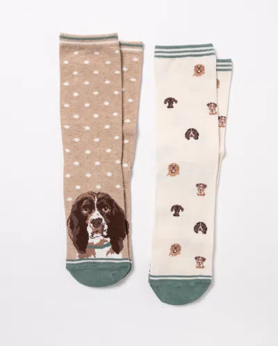 Joules Everyday 2 Pack Womens Socks In Multi