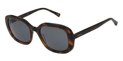Joules Hemlock Js7101 109 Occhiali Da Sole Tartarugatishell Per Donna In Brown