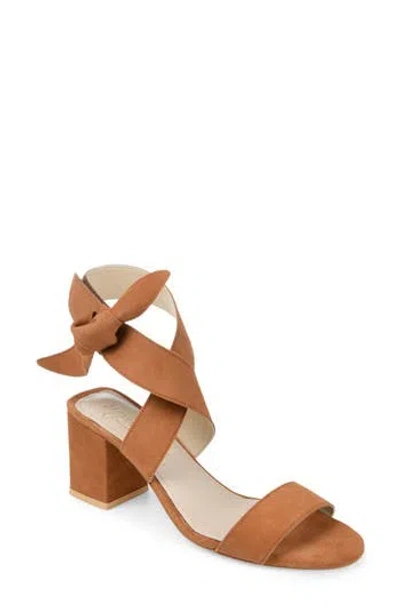 Journee Collection Journee Signature Hether Sandal In Rust Suede