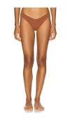Journelle Estelle Lace Trim Stretch Cotton Thong In Brown