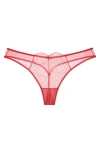 Journelle Lexi Thong In Tulipe