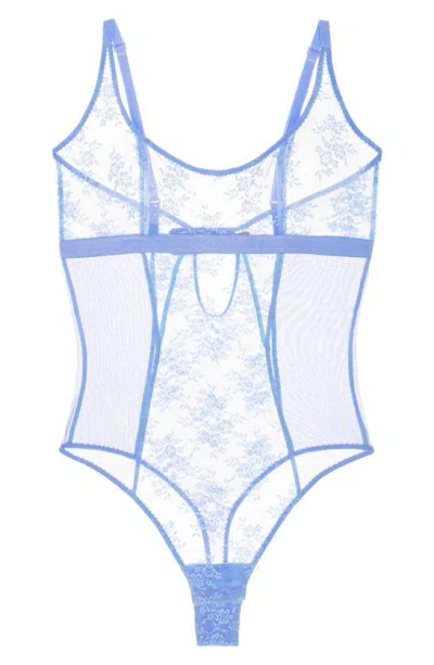 Journelle Romy Sheer Lace Bodysuit In Cornflower Blue