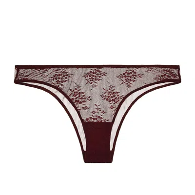 Journelle Women's Brown Romy Bikini Marron