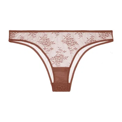 Journelle Women's Brown Romy Bikini Pecan