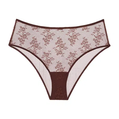 Journelle Women's Brown Romy High Waist Brief Marron