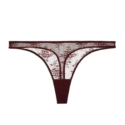 Journelle Women's Brown Romy Thong Marron