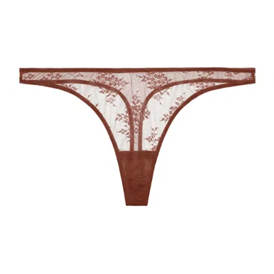 Journelle Women's Brown Romy Thong Pecan