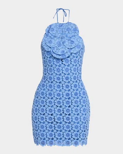 Jovani Bodycon Floral Lace Halter Mini Dress In Blue