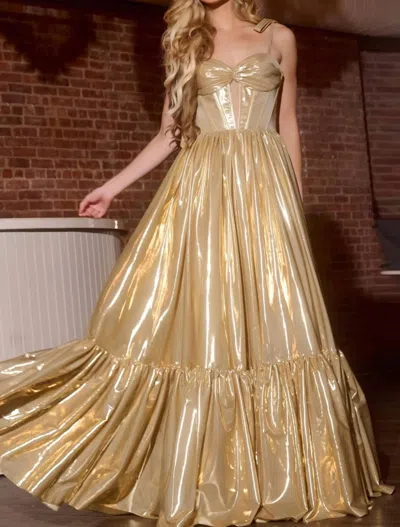 Jovani Shiny Corset Gown With Flared Skirt In Silver In Multi
