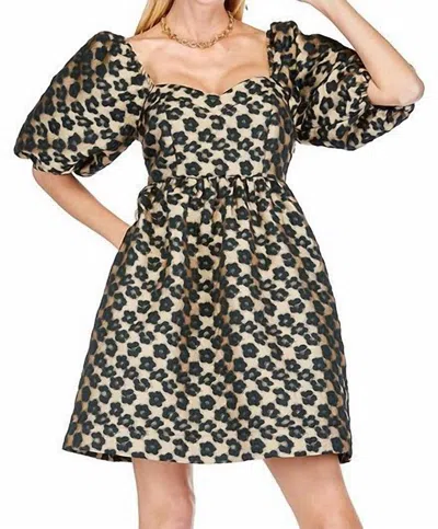 Joy Joy Bustier Dress In Cheetah Brown In Black