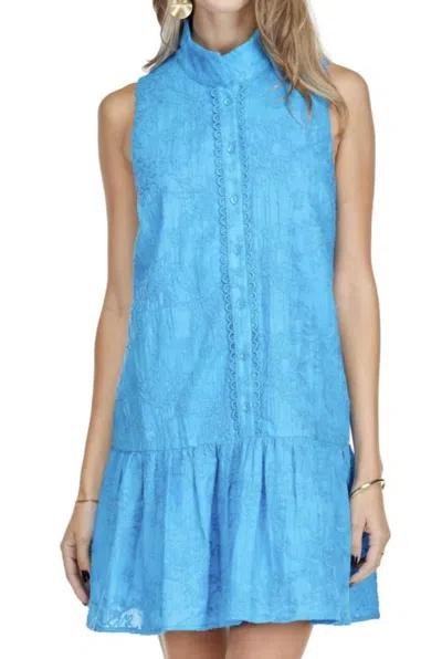 Joy Joy High Neck Embroidered Dress In Blue