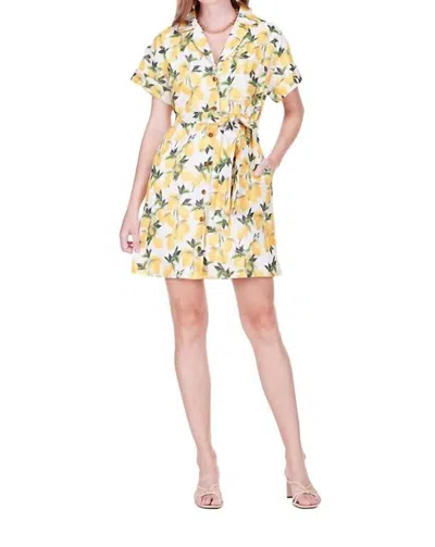 Joy Joy Pocket Shirt Dress In Lemon Grove In Yellow