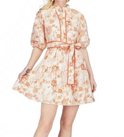 Joy Joy Women's Austin Dress In Rust Rose In Multi