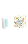 Joy Paper Co. Balance Citrus Sugar Soy Coconut Candle In White Glass