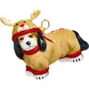 Joy To The World Collectibles Tricolor Cavalier King Charles Spaniel In Multi