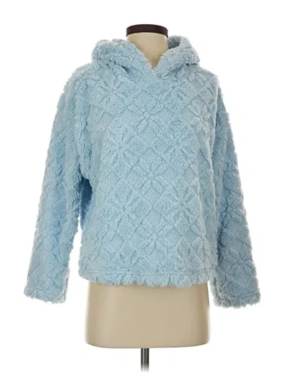 Pre-owned Joyspun Pullover Sweater In Blue