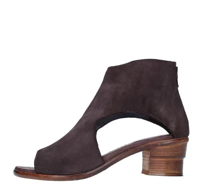 Jp/david Boots Brown In Marrone Marroni