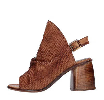 Jp/david Sandals Brown In Marrone Marroni