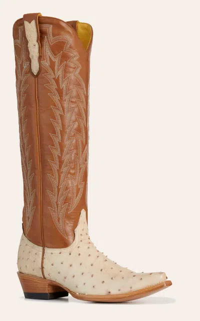 Jrc & Sons Women's Jacqueline Bone & Brown Full Quill Ostrich Snip Toe Cowboy Boots