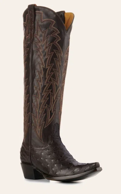 Jrc & Sons Women's Jacqueline Nicotine Full Quill Ostrich Snip Toe Tall Cowboy Boots In Brown
