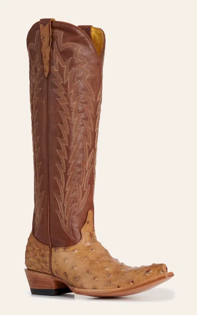 Jrc & Sons Women's Jacqueline Saddle Tan Full Quill Ostrich Snip Toe Tall Cowboy Boots In Brown