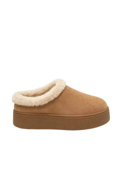 Jslides Women's Vernon Wp Clog In Brown