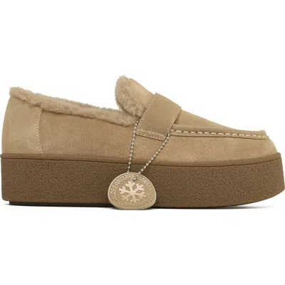 Jslides Women's Victoria Wp Mule In Brown