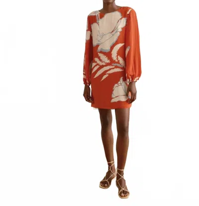 Juan De Dios Lisboa Mini Dress In Orange Gladiolos In Multi
