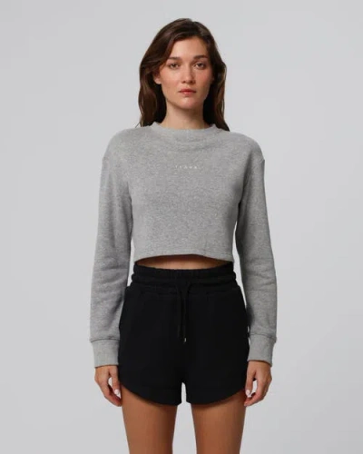 Juana Hemp Essentials Fleece Shorts In Gray