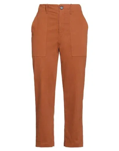 Jucca Woman Pants Brown Size 4 Cotton, Elastane In Orange