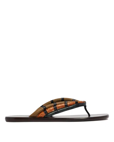 Jude Brown Leather Thong Sandals In Multi