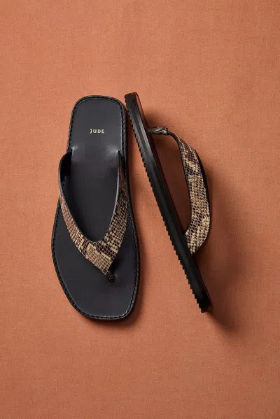 Jude For Fwrd Vermelho Sandal In Brown