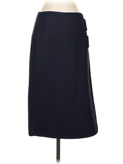 Pre-owned Judith & Charles Casual Skirt In Blue