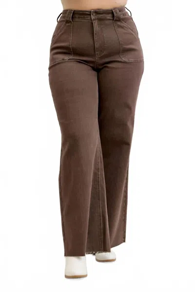 Judy Blue Retro High Waist Wide Leg Jeans - Plus In Brown