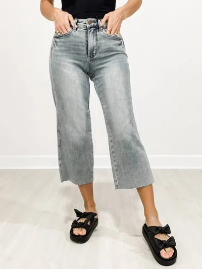 Judy Blue Tanner Mid Rise Jeans In Grey
