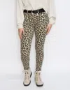Judy Blue Wild Thing Skinnies In Tan Leopard In Multi