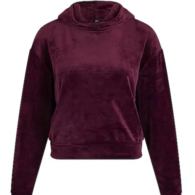 Juicy Couture Velour Cropped Pullover Sweatshirt In Purple
